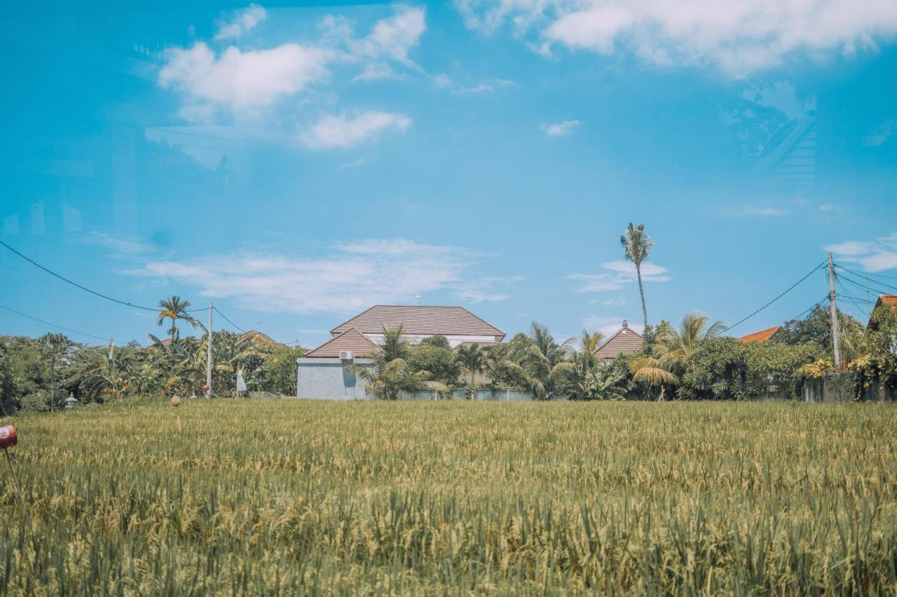 Gajah Villa By Betterplace Canggu Exteriör bild